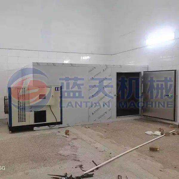 ���� �ٺϺ�ɻ� ȫ�Զ��ٺϺ�ɻ� ����