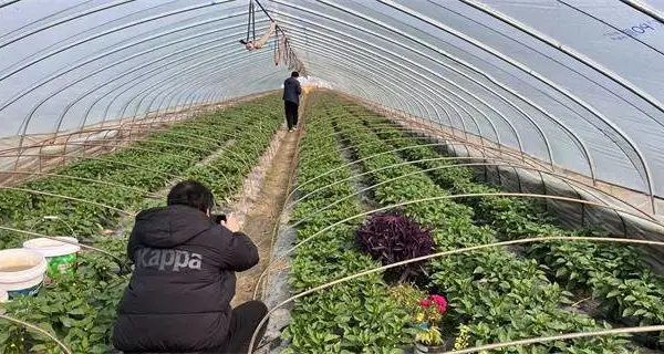 陕西农用薄膜批发厂家 山东省守正塑业供应
