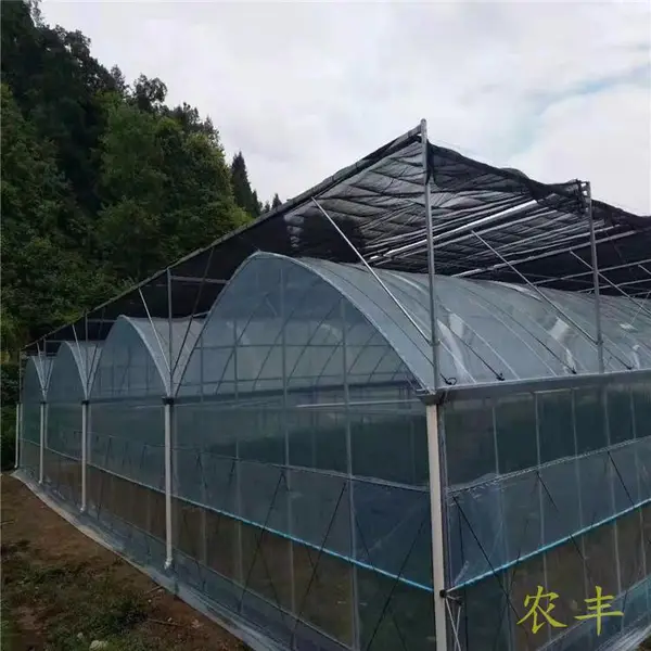 桂林连栋大棚风机水帘降低温度 连体大棚外遮阳遮阴 热镀锌大棚镀锌管厂