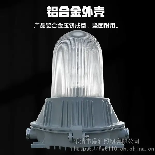 鼎轩照明 XS-3220A/B免维护廊道灯 65W功率 无极泛光灯