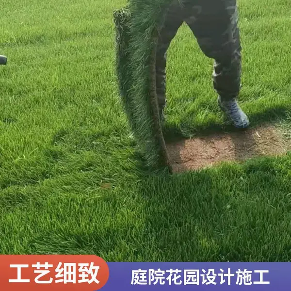家庭花园绿化设计施工批发小区草坪铺装户外草坪铺装顺义