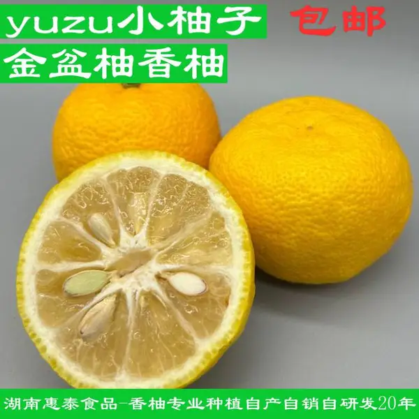 新品金盆柚YUZU香柚果泥烘焙双柚汁原料源头厂家直供yuzu
