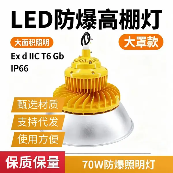 壁挂防爆灯 LED 防爆泛光灯马路式防爆灯工业防爆照明灯