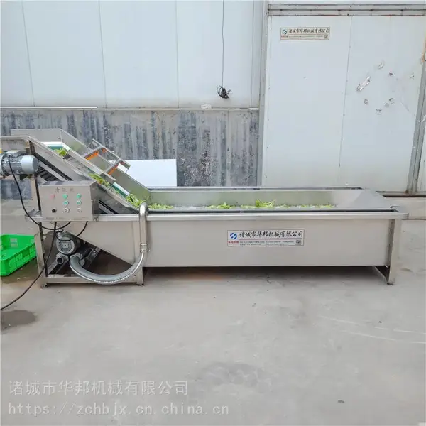 华邦牌全自动蔬菜清洗机 气泡清洗机 多功能洗菜机
