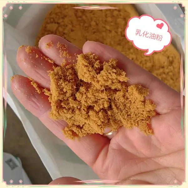 批量发货磷脂粉 大豆磷脂粉 饲料级大豆磷脂粉