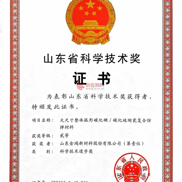 山东省科技进步二等奖