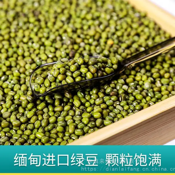缅甸进口绿豆商品油绿豆原料中大颗粒绿豆食品加工原料源产地直发
