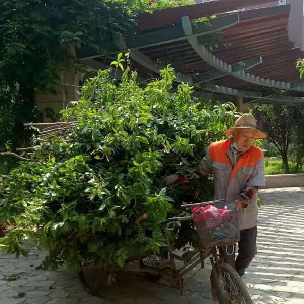 天津驻场保洁外包托管,办公室日常保洁维护按12小时制,开荒保洁幕墙清洗可定制