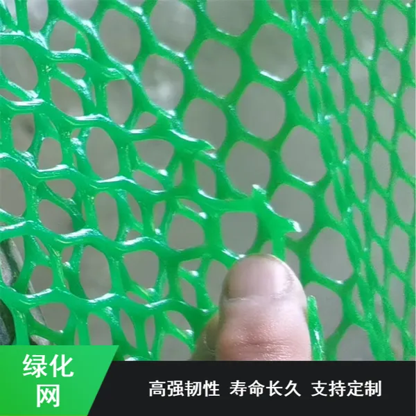 �ӵ�������ά�̻��� ��ֹɽ�廬�¹���ֲ���� ����������ֳ��