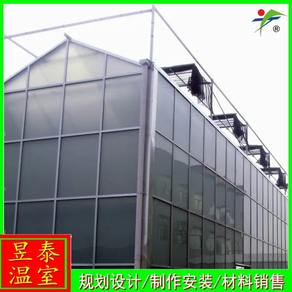 蔬菜育苗种植温室玻璃阳光板连栋大棚材料YTWSWL1176