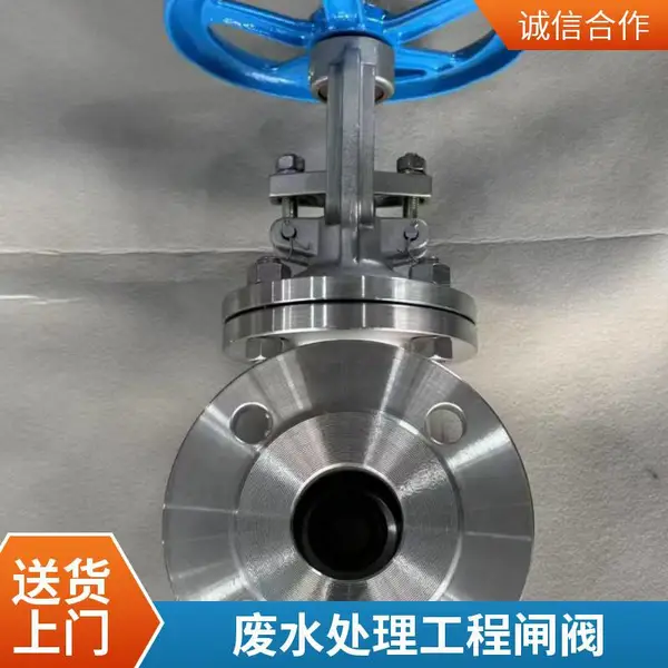 CF8不锈钢闸阀 国标法兰 DN50 PN25 化工泵配套阀门