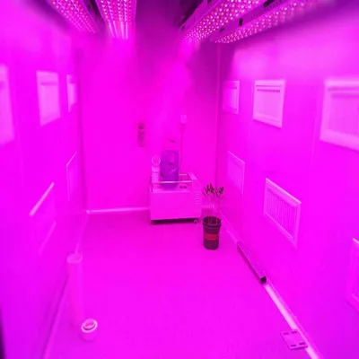 武汉叶动力 植物生长室 培养型植物生长室 项目方案设计 整体建设规划 技术指导