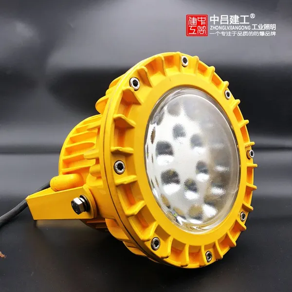 24V 100wLED 24V防爆灯价格 欢迎咨询