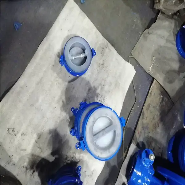 温州模压四氟双瓣止回阀 H76F46-10C H76F46-16C 内衬聚四氟乙烯对夹止回阀