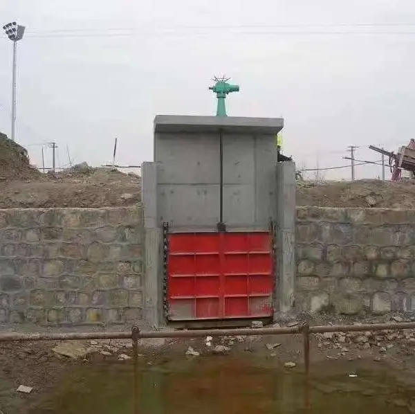 ��������բ��