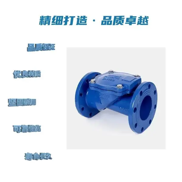 H44X橡胶瓣止回阀 具有水头损失小 维修便捷的特性