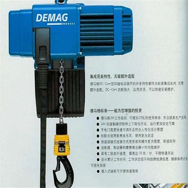 德马格环链电动葫芦250kg\DC-pro2-250 v8/2 1/1 H5 原装进口
