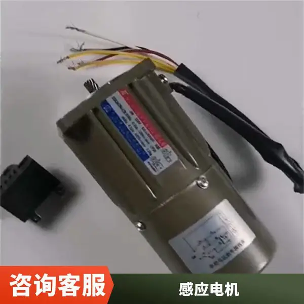 定制东力两项步进电机 自动化机械设备用纺织机械电机
