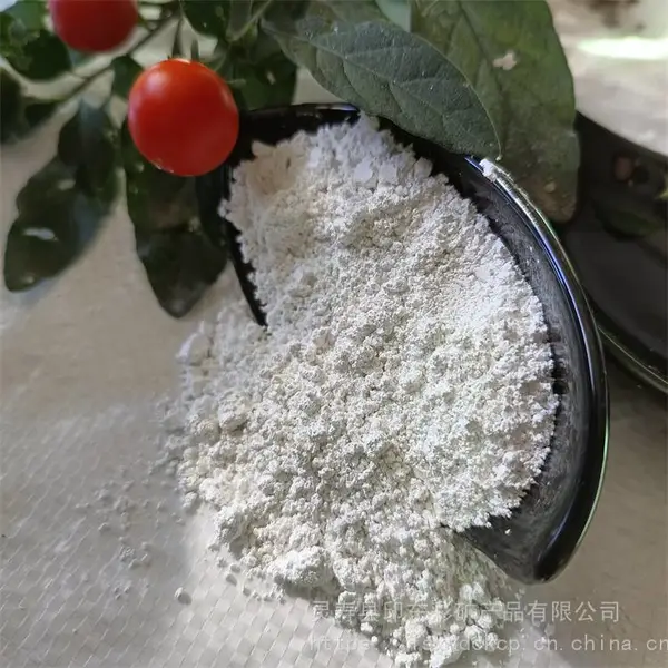 厂批涂料添加超白贝壳粉 高钙饲料 干燥剂用煅烧杜牡蛎粉吸附性好