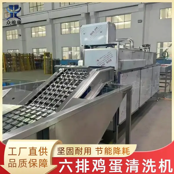 全自动洗蛋机 大型单排鸡蛋清洗机 蛋卷蛋挞皮制作蛋品清洗机