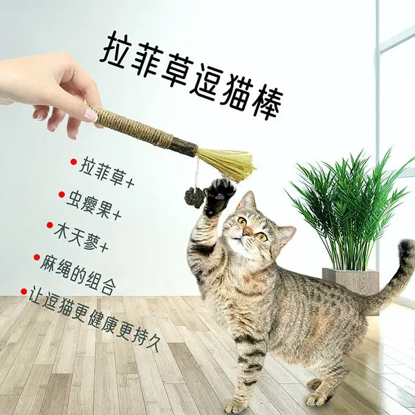 厂家批发木天蓼虫瘿果拉菲草可加工定制拉菲草逗猫磨牙棒解闷玩具
