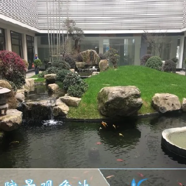 北京别墅鱼池水净化工程。解决水浑浊 发绿问题 ,三年无需换水