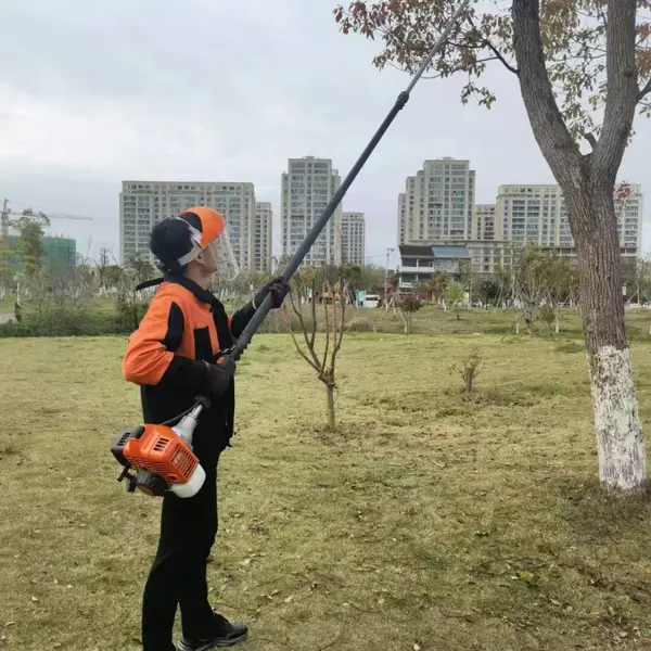 丸崎4.2米高枝油锯高枝锯果树修枝锯割草机汽油修树高空锯高枝锯