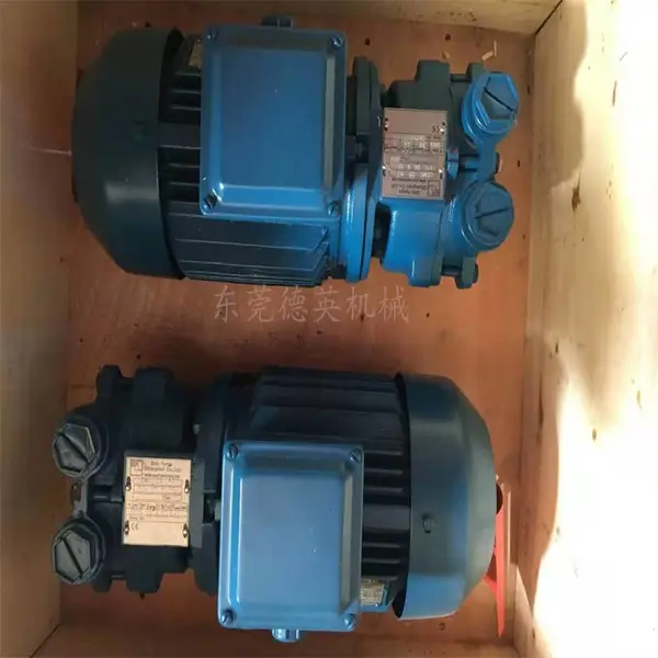 希赫(SIHI)真空泵LEMC50(水环式LEMC50)FLOWSERVE Pumps