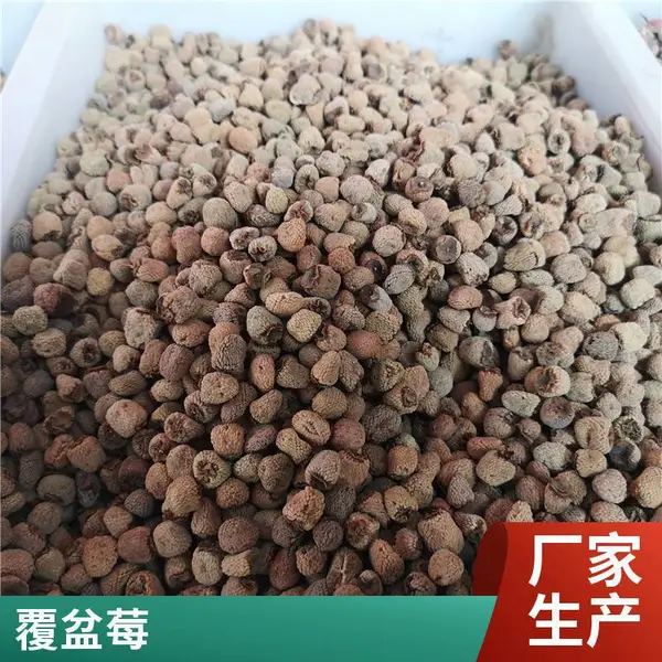 获证堂无硫中药材覆盆子有卖 原材料悬钩子干品
