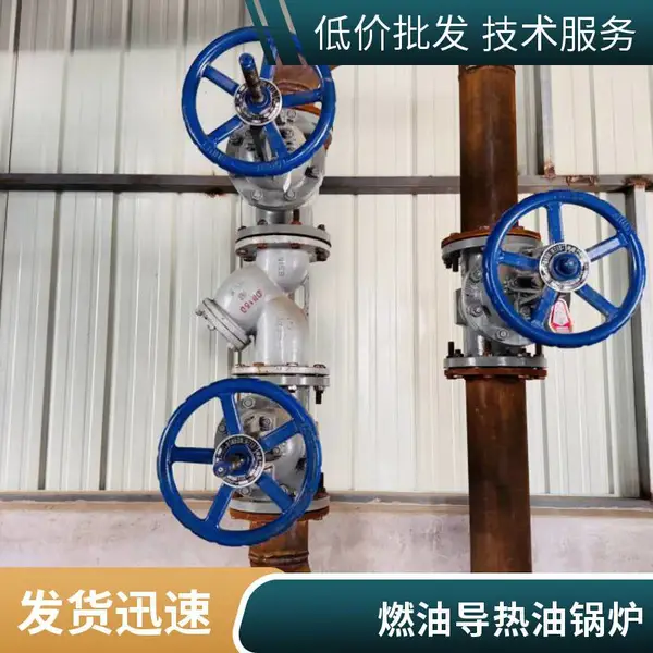 撬装轻油导热油锅炉4吨燃柴油有机热载体锅炉10吨来图定制现货超温报警炉壁温度保护枫岚