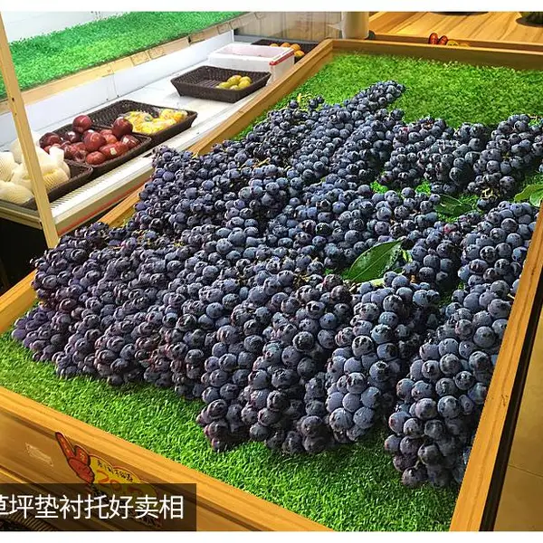 绿达春草复合黑色底部PE材质仿真假草坪超市水果绿植地垫草铺设