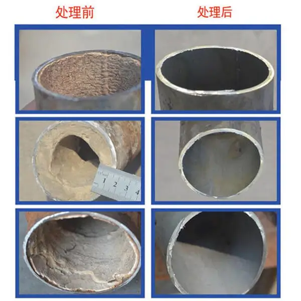 �糧��������ѧ��ϴ�� ������ϴ�� �޸�ʴ��Ч��