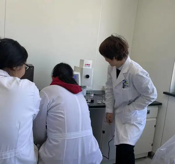 锂辉石实验室设备/锂矿分析仪/锂元素检测仪/锂矿品位检测仪