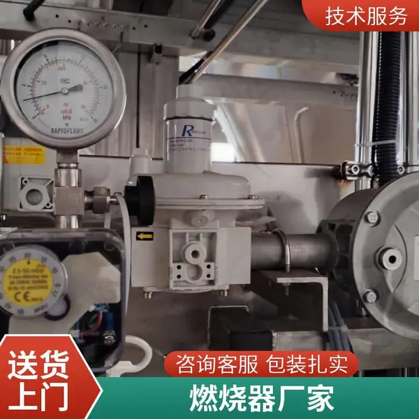 岱鼎 补热燃气烧嘴天然气燃气烧嘴燃烧机源头厂家