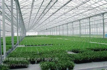 煜林枫新型温室大棚建造