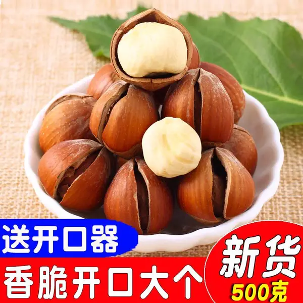 东北特产大榛子野生新鲜铁岭原味孕妇零食干果开口坚果炒熟500g