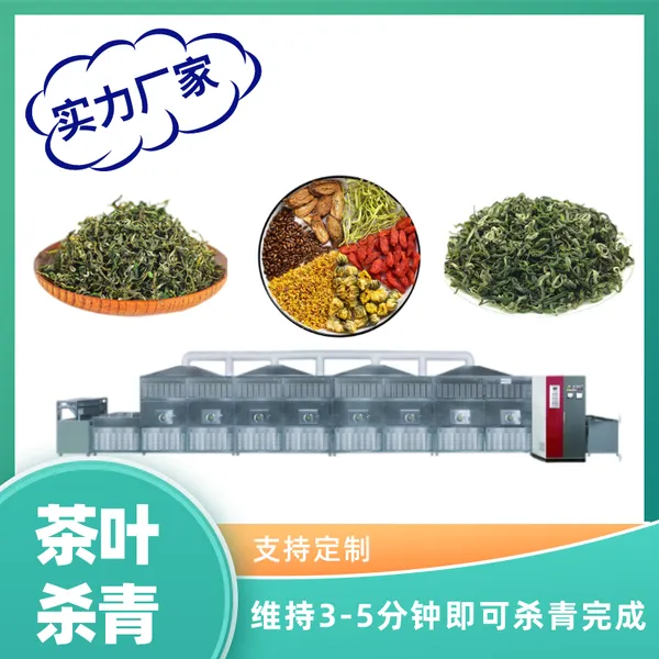 茶叶杀青机 光波隧道式荷叶茶杀青设备 杀青均匀效果好满足卫生要求