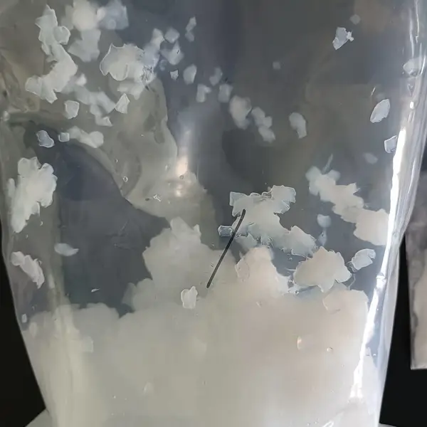 跟腱粉碎提取胶原蛋白胶体磨,动物胶原蛋白胶体磨