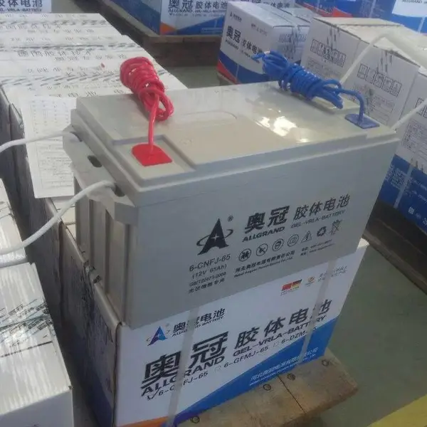 奥冠蓄电池6-EVFJ-100 12V100AH代理商