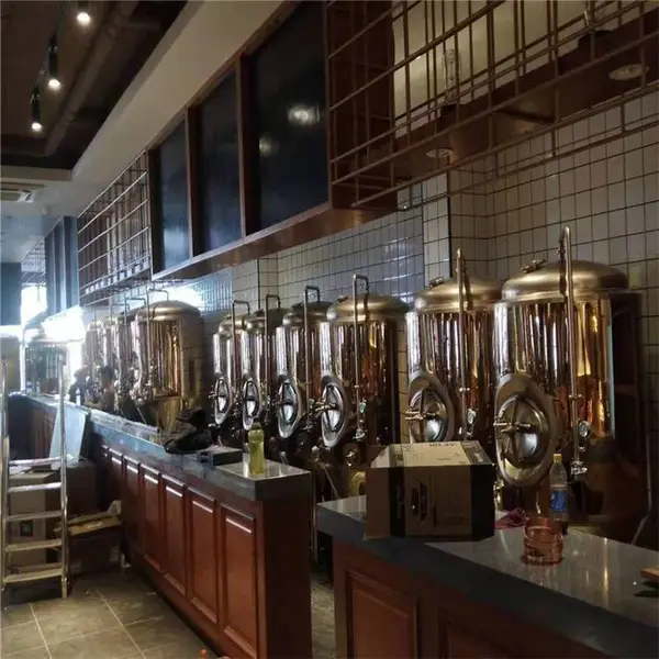 福建酒店餐饮店3000升精酿啤酒设备供应厂家
