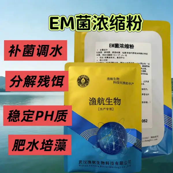 ���¿��ø��׷��溽�����������ʿ�Ӧ��ˮ����ֳ�ʳ���ֱ��