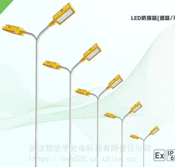 100W防爆路灯灯头 LED双头路灯100W 120W工厂港口超亮防水高杆灯