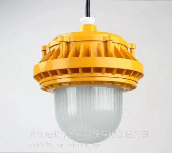 ��ΪSEVAZM��úƤ������ LED������BAD-100W ����¥������