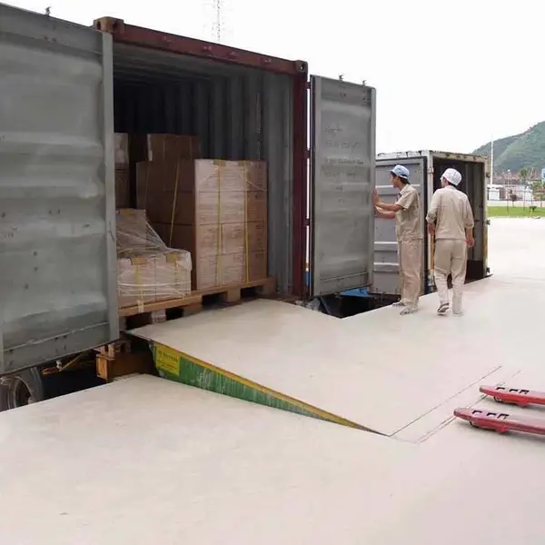 斯特朗力DCQG液压登车桥 厂房长款坡道卸货平台 8吨装柜平台