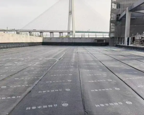 上海如何防水公司 贴心服务 上海麓谷建设发展供应