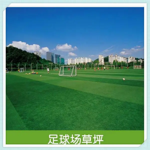 天津 足球场人造草坪 学校运动场人工草皮 幼儿园彩虹草