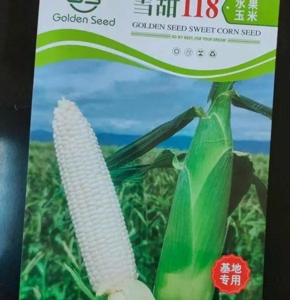ѩ��118ˮ�����׳�������ʳ�����ӽ���,��������16-18�У�ɫ��ѩ�ף�����ʳ