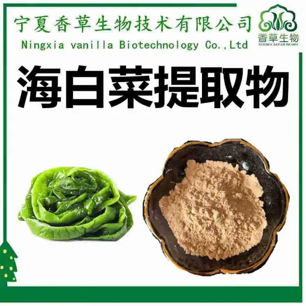 海白菜提取物 多糖 浓缩液 海白菜粉 120目 速溶粉 水提 浸膏粉