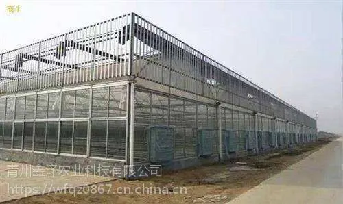 四周玻璃顶部薄膜温室一平方的价格 玻璃温室 文洛式玻璃温室