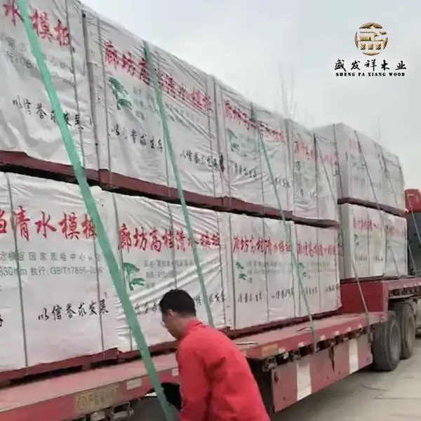 桉木清水建筑模板 工地用黑色覆膜板 防腐 盛发祥木业